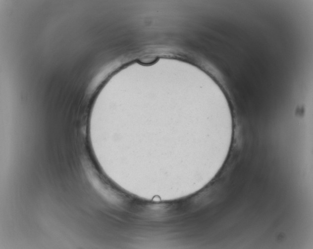 X0000111890059200909031914