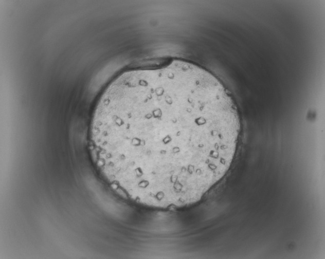 X0000111890060200909031914