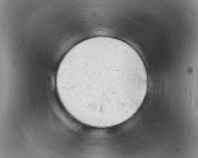 X0000111890061200909031915