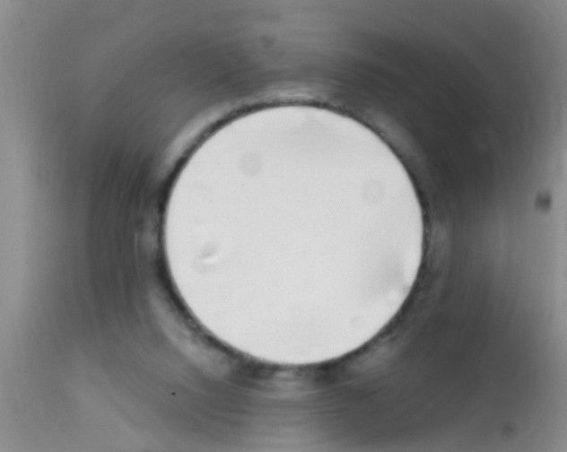 X0000111890064200909031915