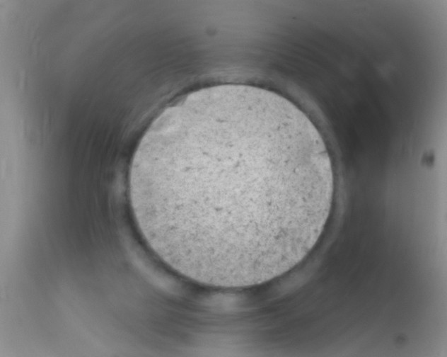 X0000111890065200909031915