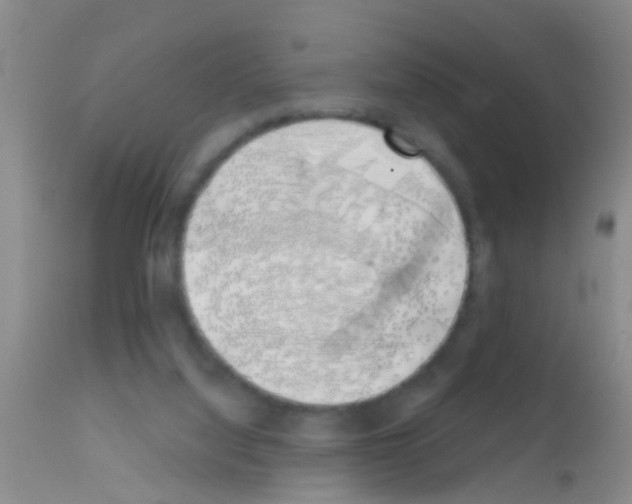 X0000111890068200909031915