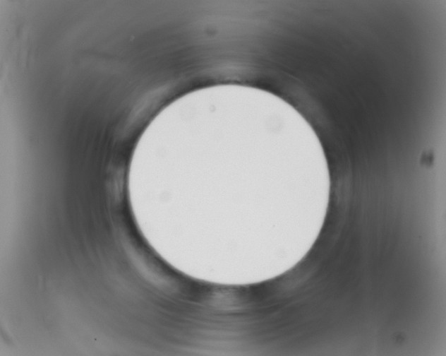 X0000111890070200909031915