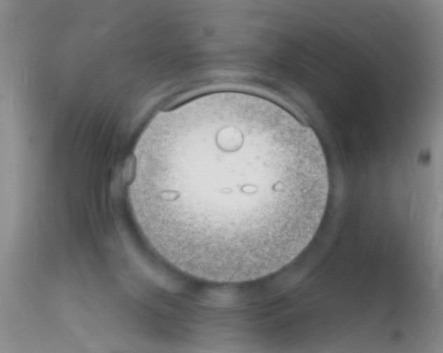 X0000111890071200909031915