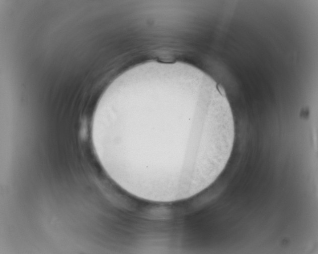 X0000111890075200909031915