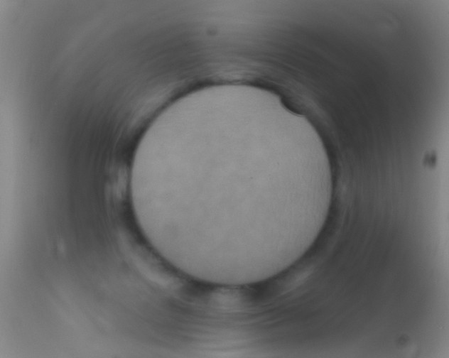 X0000111890076200909031915