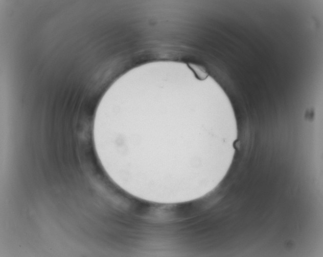 X0000111890078200909031915