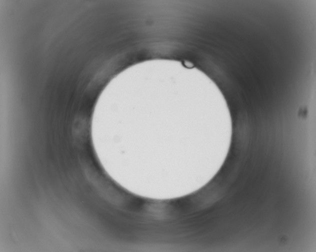 X0000111890079200909031915