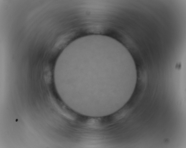 X0000111890080200909031915