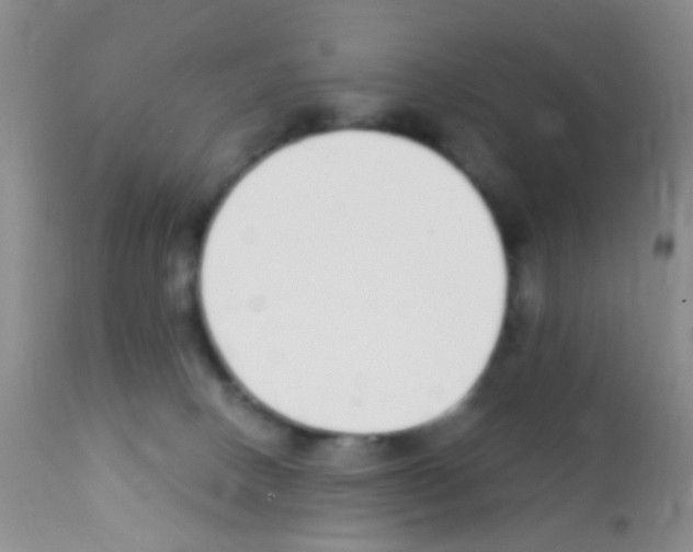 X0000111890082200909031915