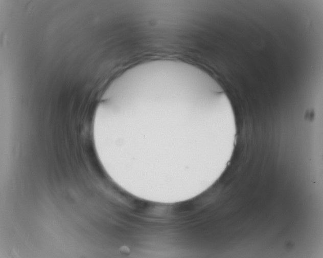 X0000111890084200909031915