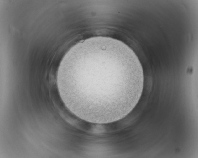 X0000111890091200909031915