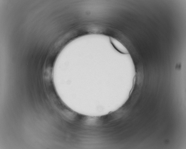 X0000111890093200909031915