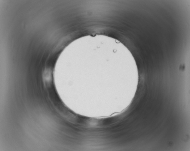 X0000111890094200909031915