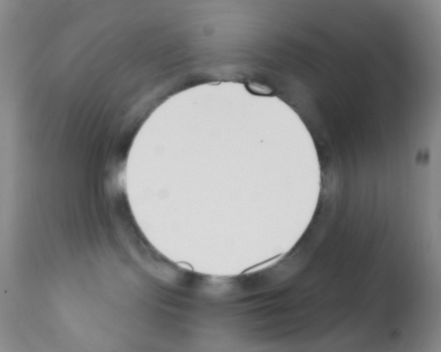 X0000111890095200909031915