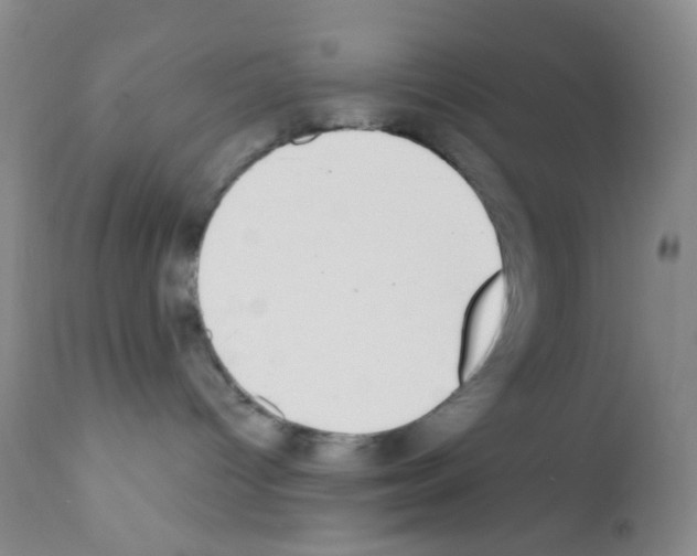 X0000111890096200909031915