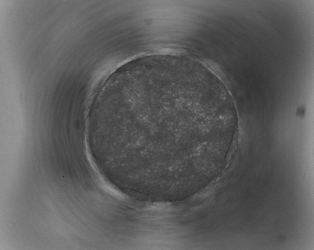 X0000111890097200909031914