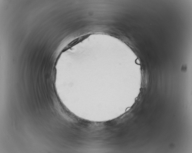 X0000111890099200909031914