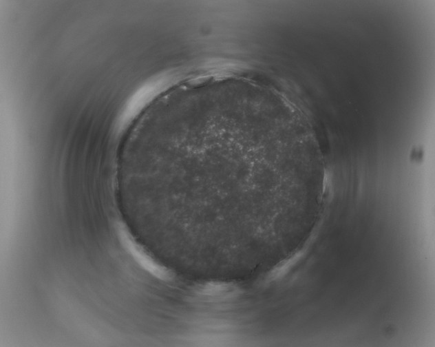 X0000111890101200909031914