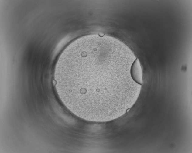 X0000111890102200909031914