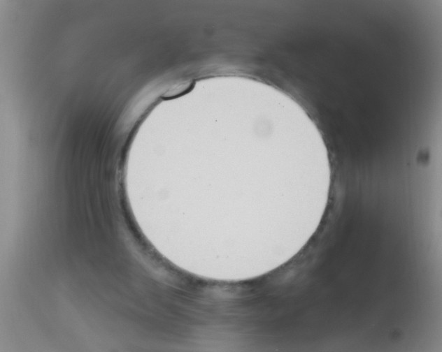 X0000111890103200909031914