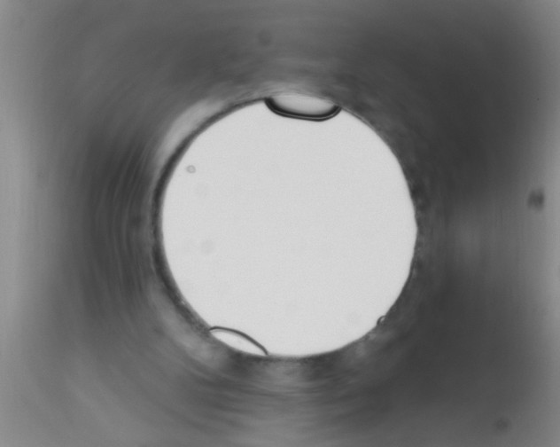 X0000111890104200909031914