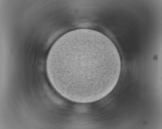 X0000111890106200909031914