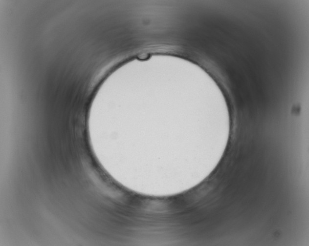 X0000111890107200909031914