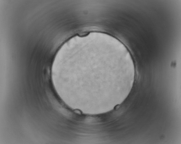 X0000111890109200909031914