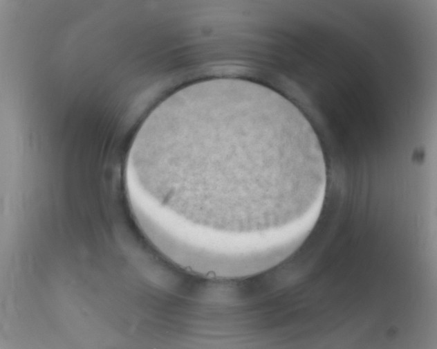 X0000111890110200909031914