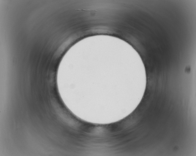 X0000111890111200909031914