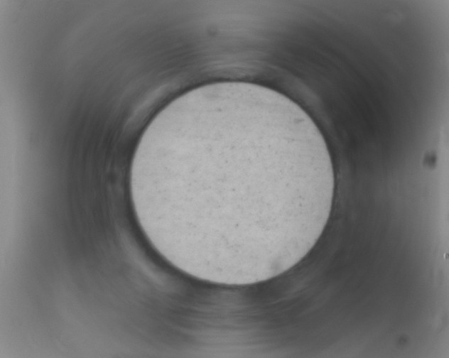 X0000111890114200909031914