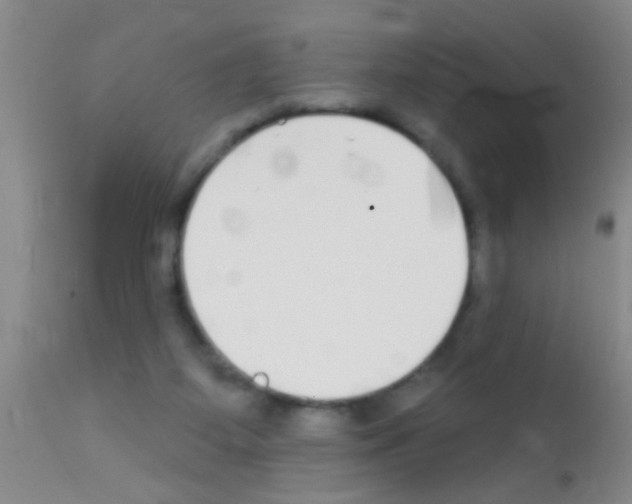 X0000111890115200909031914