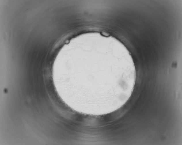 X0000111890116200909031914