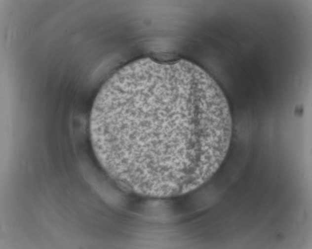 X0000111890117200909031914