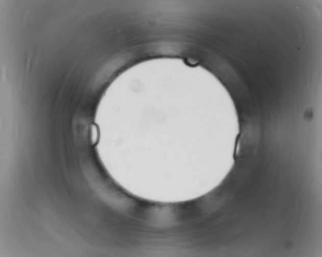 X0000111890120200909031914