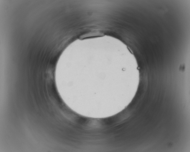 X0000111890127200909031914