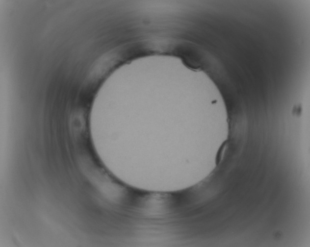 X0000111890128200909031914