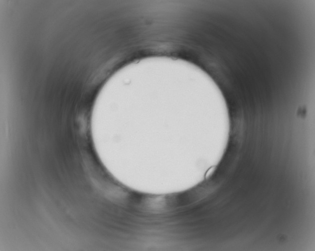 X0000111890131200909031914