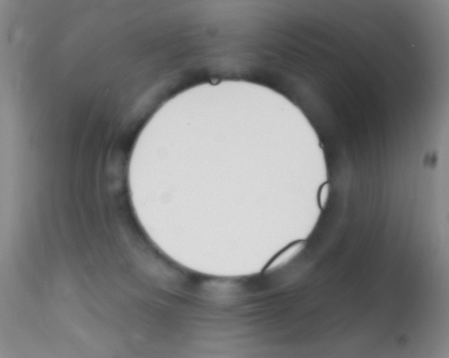 X0000111890133200909031914