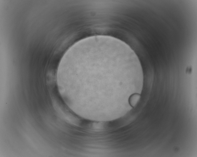 X0000111890134200909031914