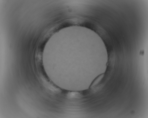 X0000111890137200909031914