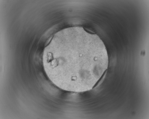 X0000111890140200909031914