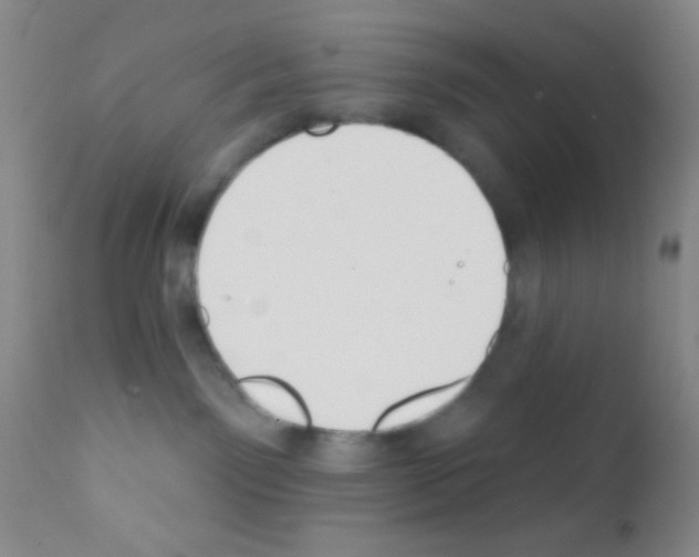 X0000111890141200909031914