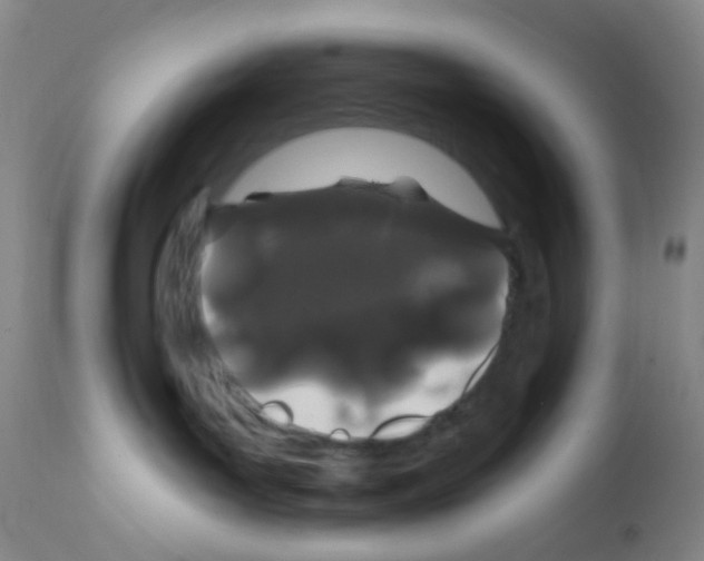 X0000111890143200909031914