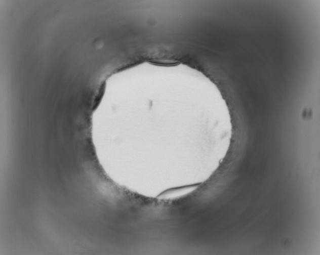 X0000111890144200909031914