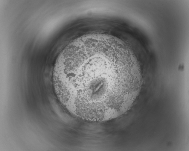 X0000111890146200909031913