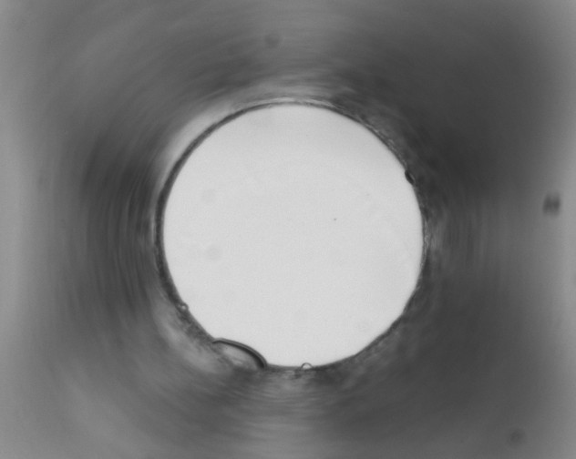 X0000111890148200909031913