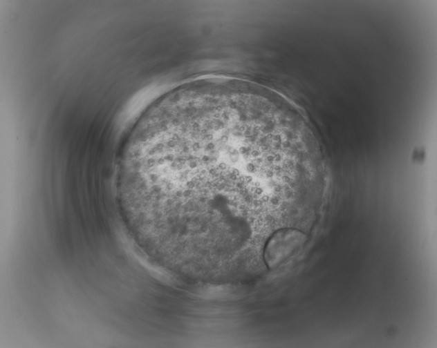 X0000111890149200909031913