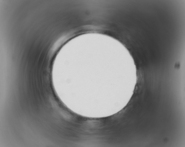 X0000111890150200909031913